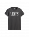 levis-r-the-perfect-tee-90s-serif-3884.png